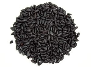 Green World Black Rice Rarest Manipuri Paddy Seeds for Farming, 100 Gms