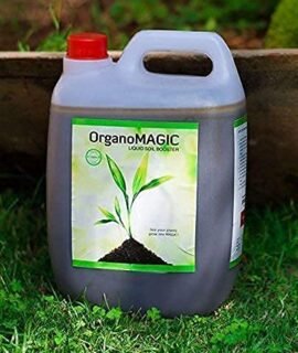 OrganoMagic Liquid Plant Booster | Speed Growth & Immunity | NPK Plant Growth Supplement | Organic Manure Fertilizer for Home, Indoor & Outdoor Garden | 5 Ltr