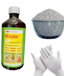 Miraculan for plant growth regulator 250ml+ Dap 200gm WITH GLOVES