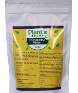 PLANT'S BUDDY Trichoderma Viride Fungicide Powder (1 * 10^8 CFU/gm) - Tricoderma Bio Fungicide for Indoor and Outdoor Plants - Effective against Root-rot, Stem-rot, Leaf Spot, Powdery Mildew (500 gms)