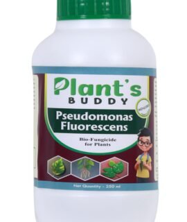 PLANT'S BUDDY Pseudomonas Fluorescens Liquid - (2×10⁹ CFU/ml) | Natural Bio-fungicide for plants home garden for Broad-Spectrum Fungal Disease Control | Bio - fungicide | Easy Application (250 ml)