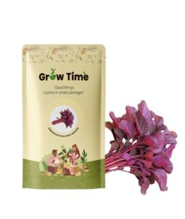 Growtime Amaranthus Red Vegetable Seeds, Vegetable Seeds for Home Gardening, Vegetable Planting Seeds for Kitchen, Amaranthus Red Seeds (Pack of 20g)