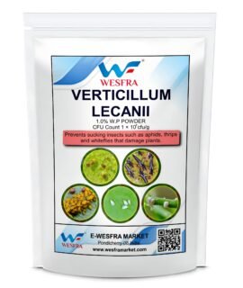 Verticillium Lecanii | Organic Plant Pest Control | Effective Natural Insecticide for Thrips, Aphids, Whiteflies & More | 900g | Safe for All Plants