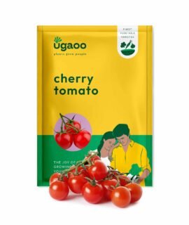 UGAOO Cherry Tomato Vegetable Seeds (Red, Pack of 200mg, 50 Seeds)