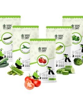Seeds Cart Summer Season Special Tomato + Okra (Lady Finger) + Cucumber + Capsicum + Zucchini Seeds For Farming, Home & kitchen Garden| Non-Hybrid, Open Pollinated And Non-GMO | Vegetable Seeds |
