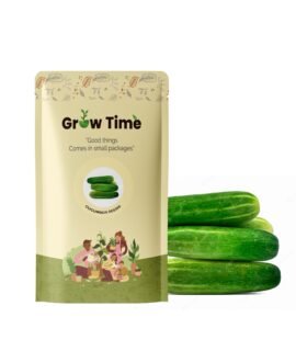 Growtime Cucumber Green Vegetable Seeds, Vegetable Seeds for Home Gardening, Vegetable Planting Seeds for Kitchen, Cucumber Seeds (Green, Pack of 2g)