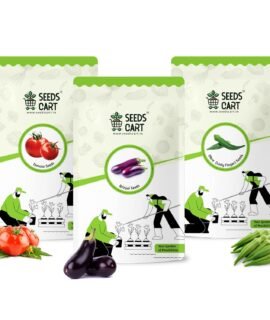 Seeds Cart Tomato (Tamatar), Okra/Bhindi (Lady Finger), and Brinjal (Baingan) Seeds for Planting | Approx. 700 Seeds | Non-Hybrid, Open Pollinated, Non-GMO | Vegetable Seeds for Home Garden, Terrace