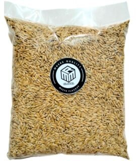 MMR Vadlu Paddy Seeds 500g | Dhanyam for Pooja & Germination | Puja Dhaan, Hawan Dhaan | Natural Whole Paddy Grains