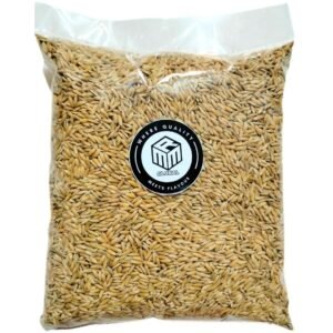 MMR Vadlu Paddy Seeds 500g | Dhanyam for Pooja & Germination | Puja Dhaan, Hawan Dhaan | Natural Whole Paddy Grains