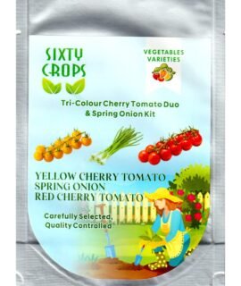Sixty Crops Tri-Colour Cherry Tomato seeds(Red & yellow,Approx70 seeds) +Spring Onion(Approx 550-625 seeds) home kitchen garden kit