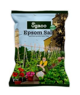 Ugaoo Epsom Salt for Plants Growth - Magnesium Sulphate Organic Fertilizer - 1 Kg |Powder